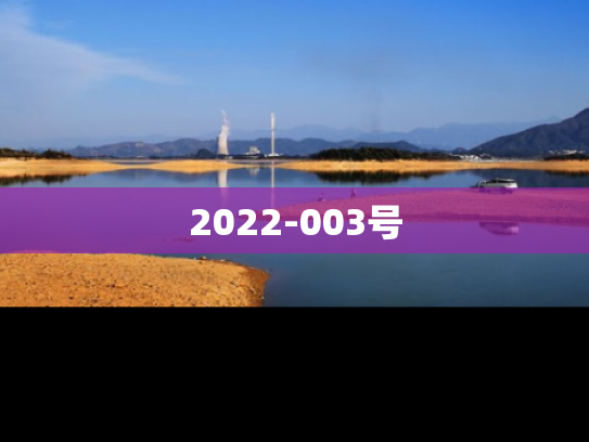 2022-003号