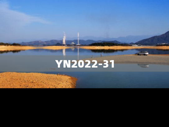 YN2022-31