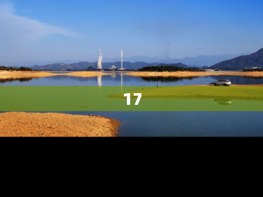 17