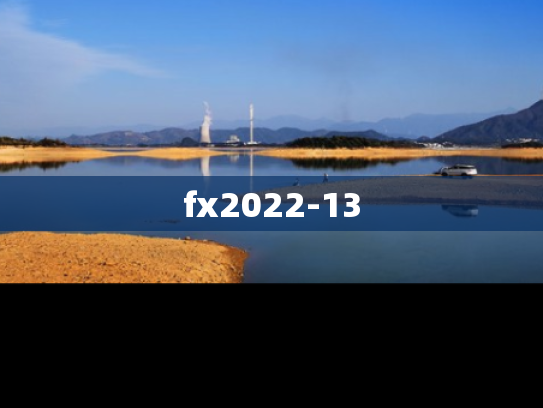 fx2022-13