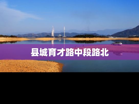 县城育才路中段路北