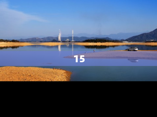 15