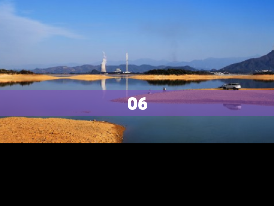 06