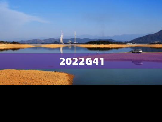 2022G41