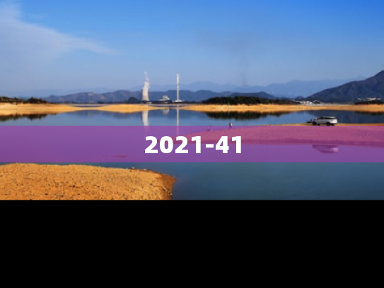 2021-41