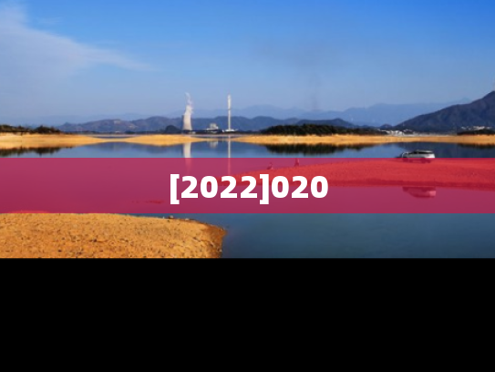 [2022]020