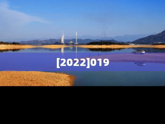 [2022]019