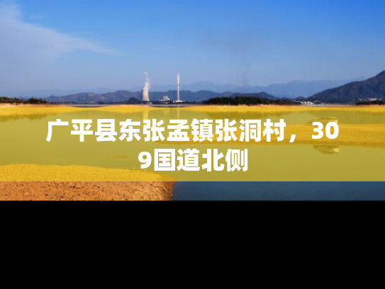 广平县东张孟镇张洞村，309国道北侧