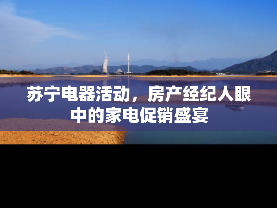 苏宁电器活动，房产经纪人眼中的家电促销盛宴