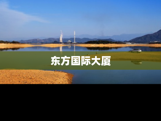 东方国际大厦