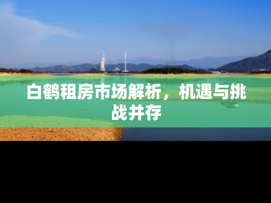 白鹤租房市场解析，机遇与挑战并存