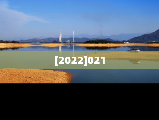 [2022]021