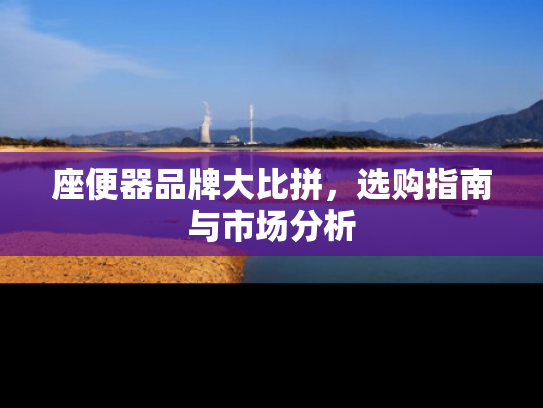 座便器品牌大比拼，选购指南与市场分析