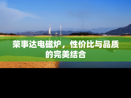 荣事达电磁炉，性价比与品质的完美结合