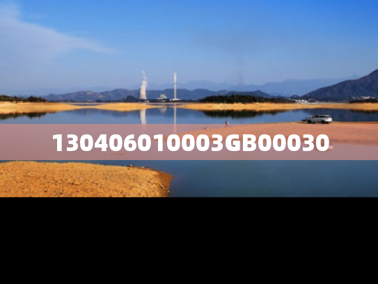 130406010003GB00030