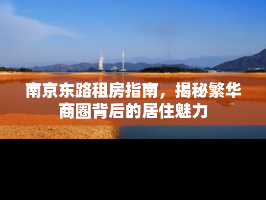 南京东路租房指南，揭秘繁华商圈背后的居住魅力
