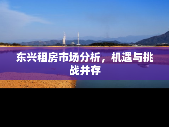 东兴租房市场分析，机遇与挑战并存