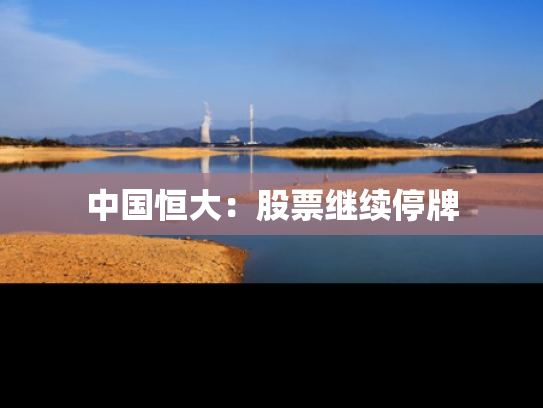 中国恒大：股票继续停牌