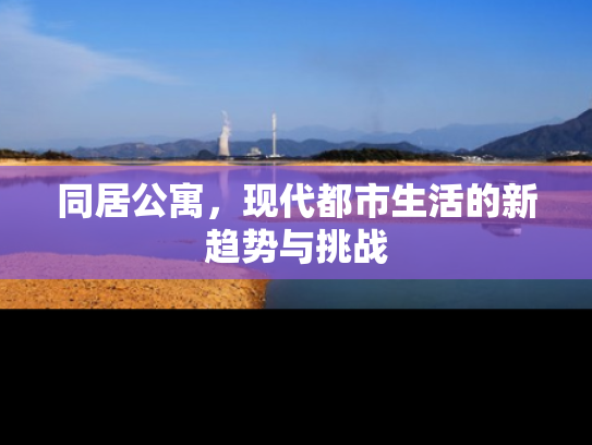 同居公寓，现代都市生活的新趋势与挑战