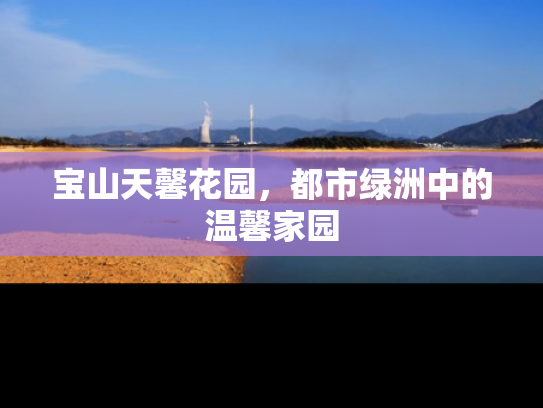 宝山天馨花园，都市绿洲中的温馨家园