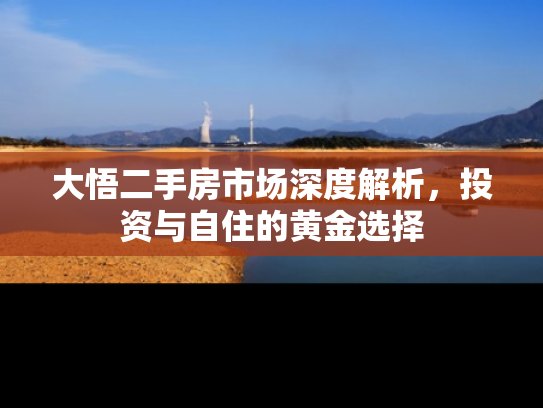大悟二手房市场深度解析，投资与自住的黄金选择