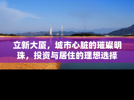 立新大厦，城市心脏的璀璨明珠，投资与居住的理想选择