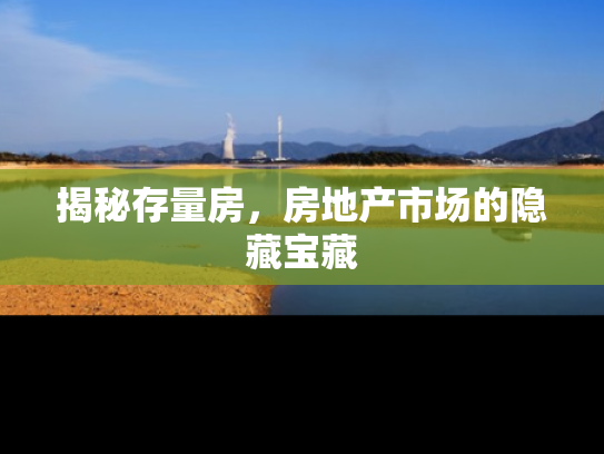 揭秘存量房，房地产市场的隐藏宝藏