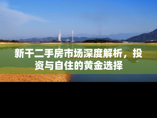 新干二手房市场深度解析，投资与自住的黄金选择