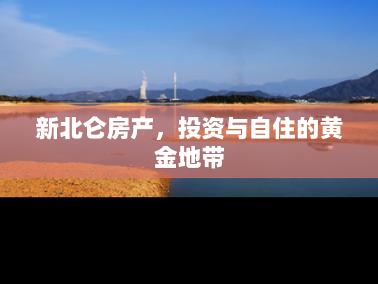 新北仑房产，投资与自住的黄金地带