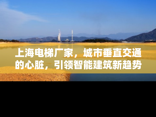 上海电梯厂家，城市垂直交通的心脏，引领智能建筑新趋势