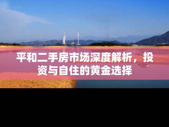 平和二手房市场深度解析，投资与自住的黄金选择