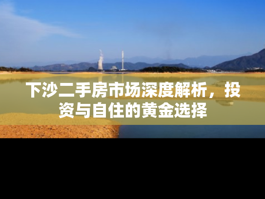 下沙二手房市场深度解析，投资与自住的黄金选择