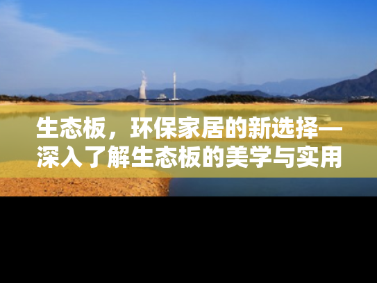 生态板，环保家居的新选择—深入了解生态板的美学与实用性