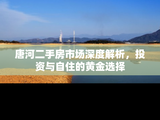 唐河二手房市场深度解析，投资与自住的黄金选择