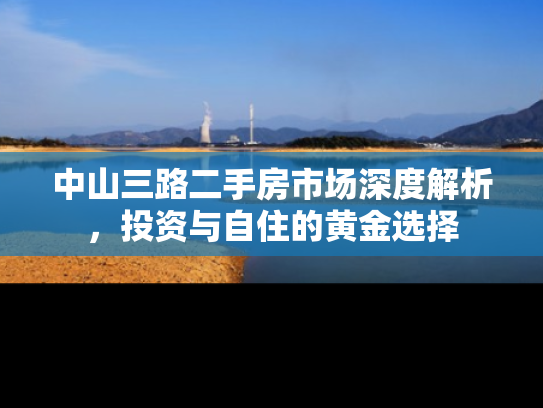 中山三路二手房市场深度解析，投资与自住的黄金选择