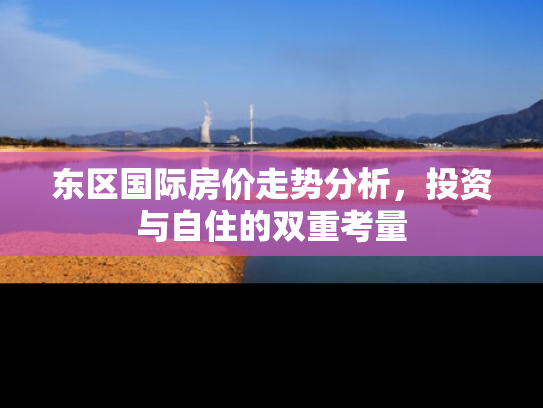 东区国际房价走势分析，投资与自住的双重考量