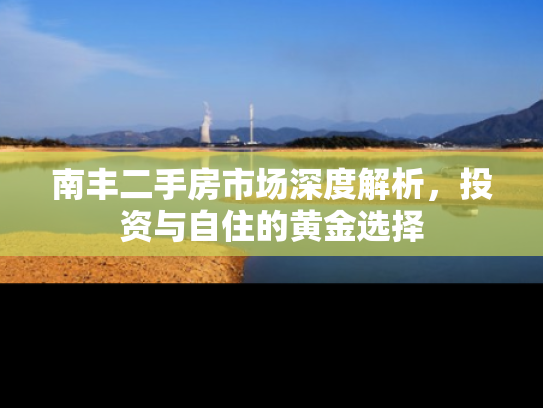 南丰二手房市场深度解析，投资与自住的黄金选择