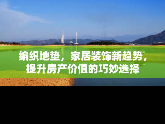编织地垫，家居装饰新趋势，提升房产价值的巧妙选择