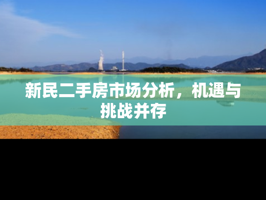 新民二手房市场分析，机遇与挑战并存