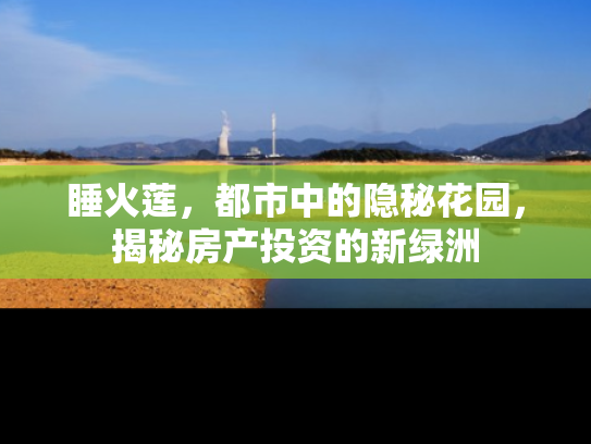 睡火莲，都市中的隐秘花园，揭秘房产投资的新绿洲