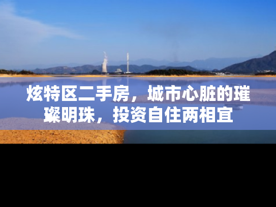 炫特区二手房，城市心脏的璀璨明珠，投资自住两相宜