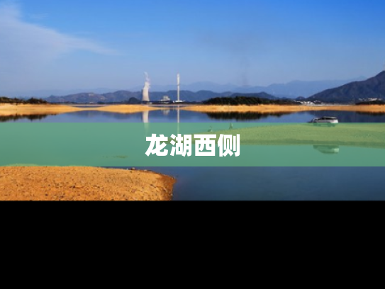 龙湖西侧