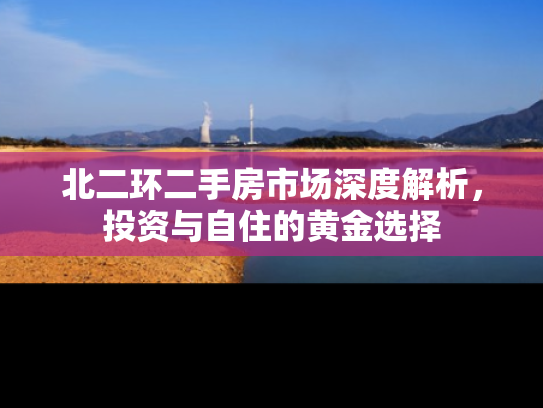 北二环二手房市场深度解析，投资与自住的黄金选择