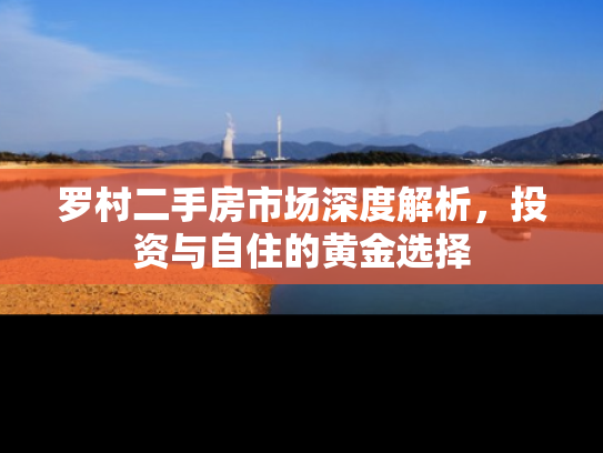 罗村二手房市场深度解析，投资与自住的黄金选择