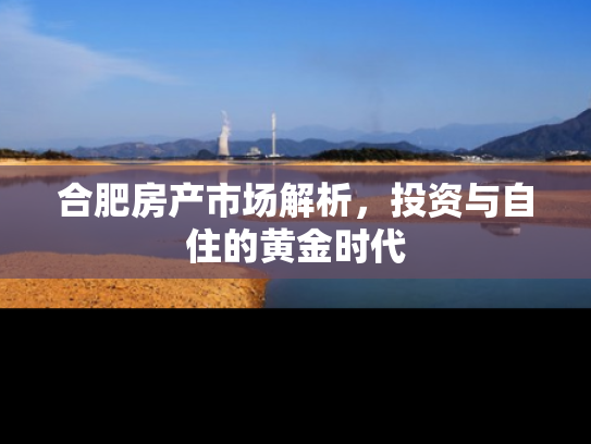 合肥房产市场解析，投资与自住的黄金时代
