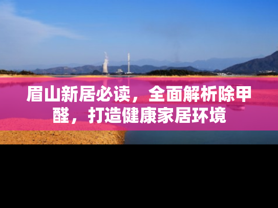 眉山新居必读，全面解析除甲醛，打造健康家居环境