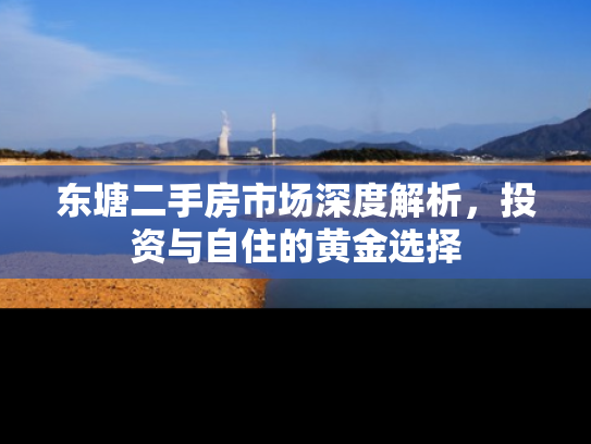 东塘二手房市场深度解析，投资与自住的黄金选择