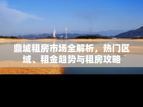 鼎城租房市场全解析，热门区域、租金趋势与租房攻略