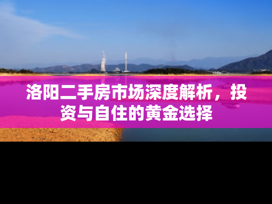洛阳二手房市场深度解析，投资与自住的黄金选择