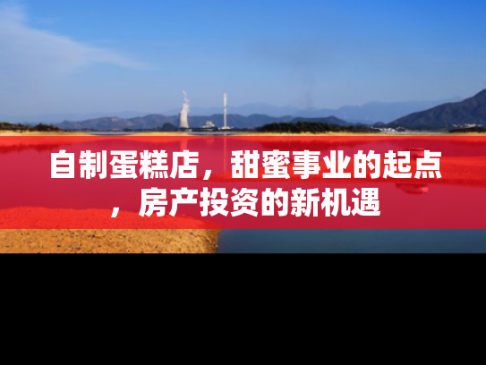 自制蛋糕店，甜蜜事业的起点，房产投资的新机遇